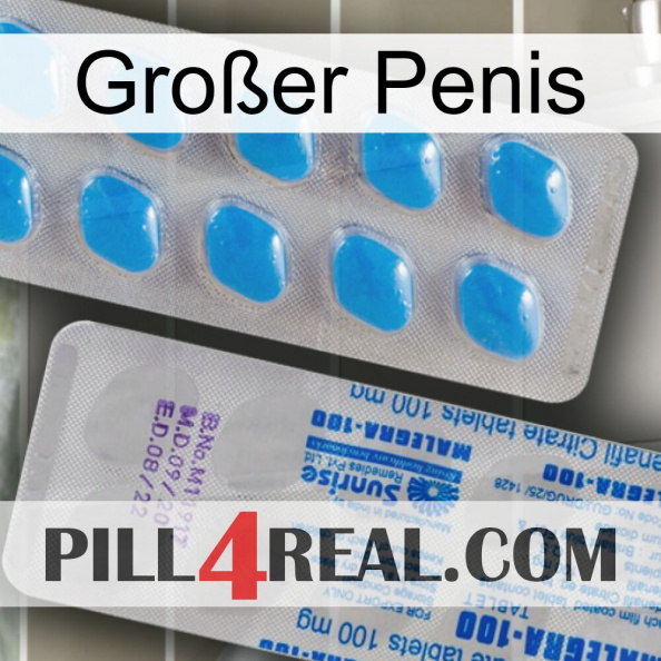 Großer Penis new15.jpg